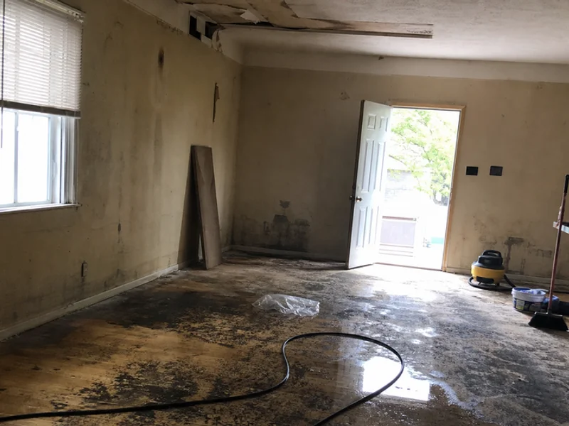 Before Mold Remediation at a Douglas County home
