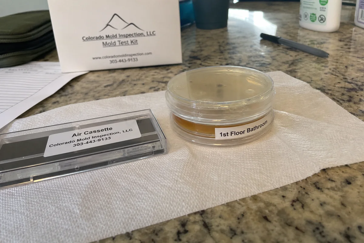 Air cassette and petri dish samples for mold analysis