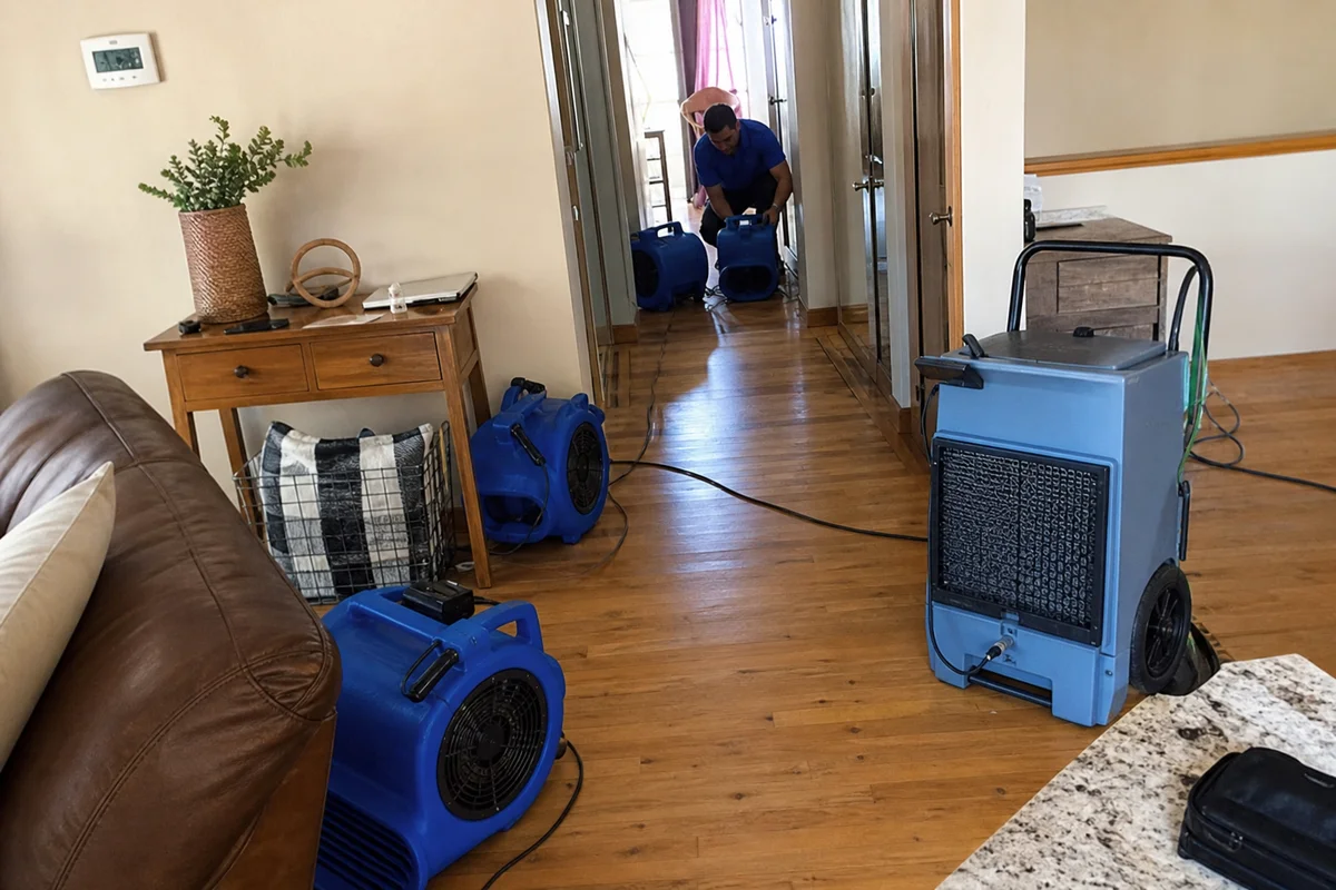 Air movers and LGR dehumidifier drying a room